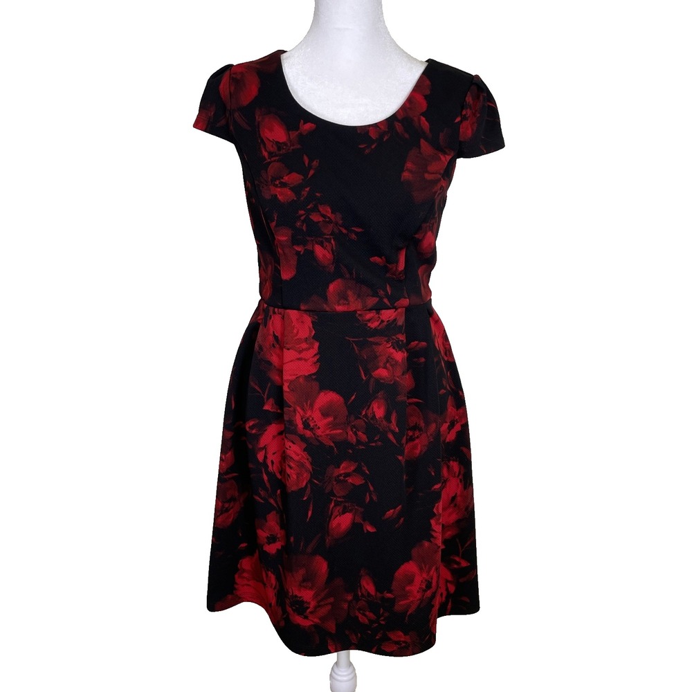 Woman's A-Line Dress‎ Size 6 Black/Red Floral Dark Feminine Romantic Dainty Glam